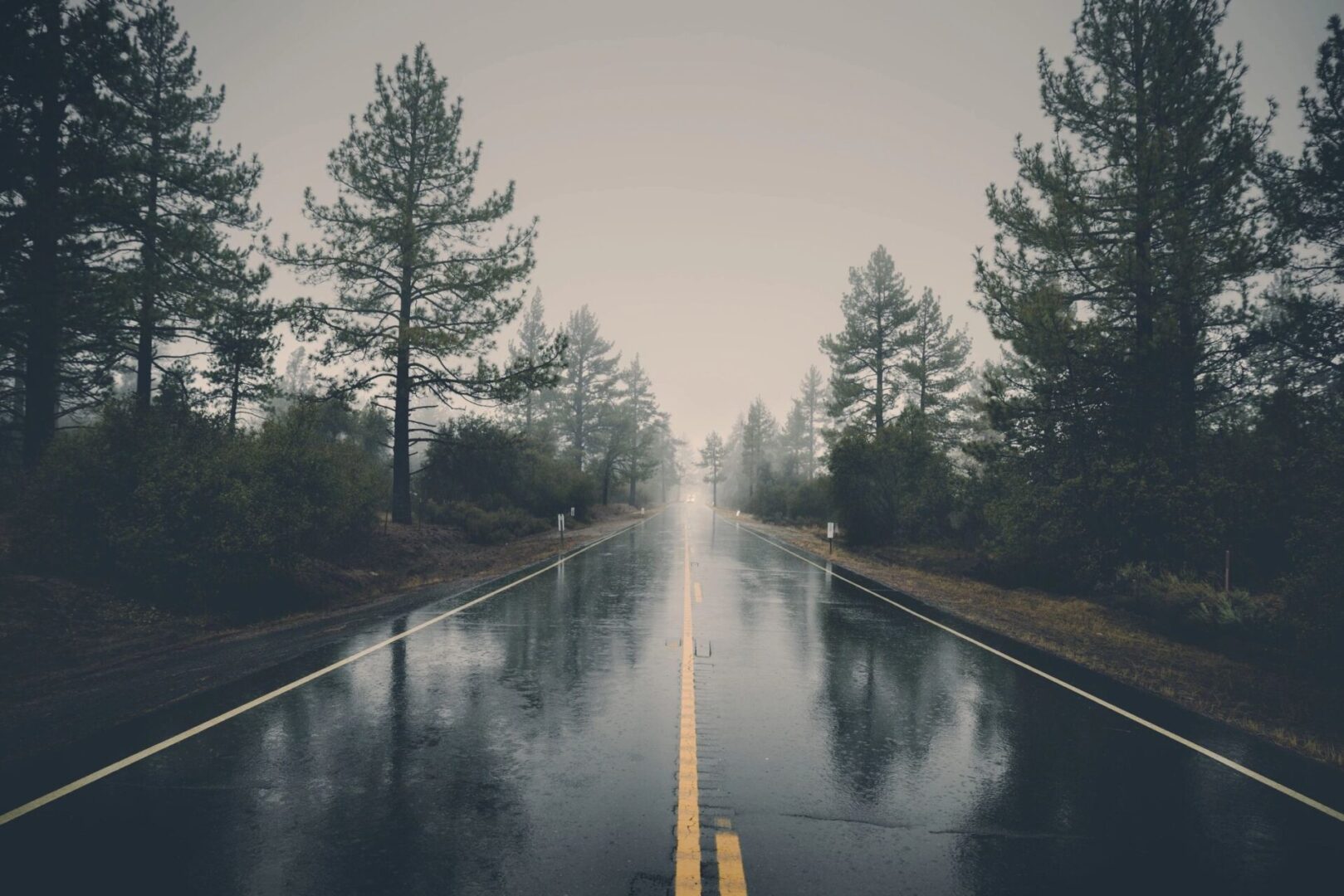 A wet road stretching through a misty forest with overcast skies.